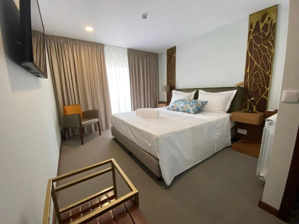 Standard Double room with mountain view (full double bed)