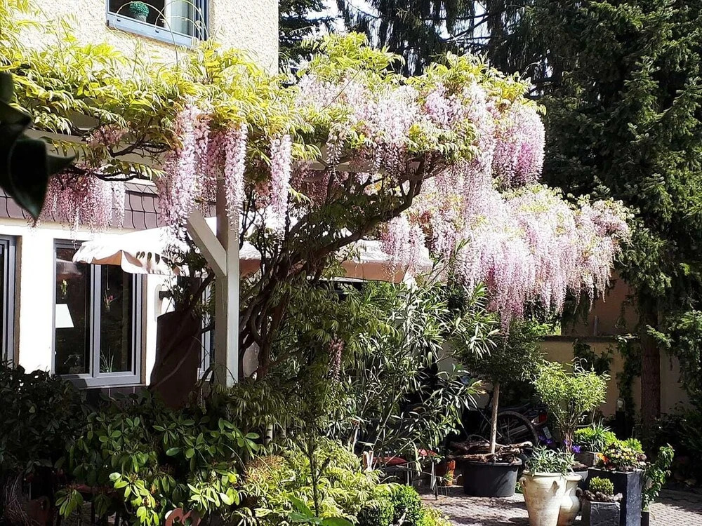 Landhotel Rosenberg