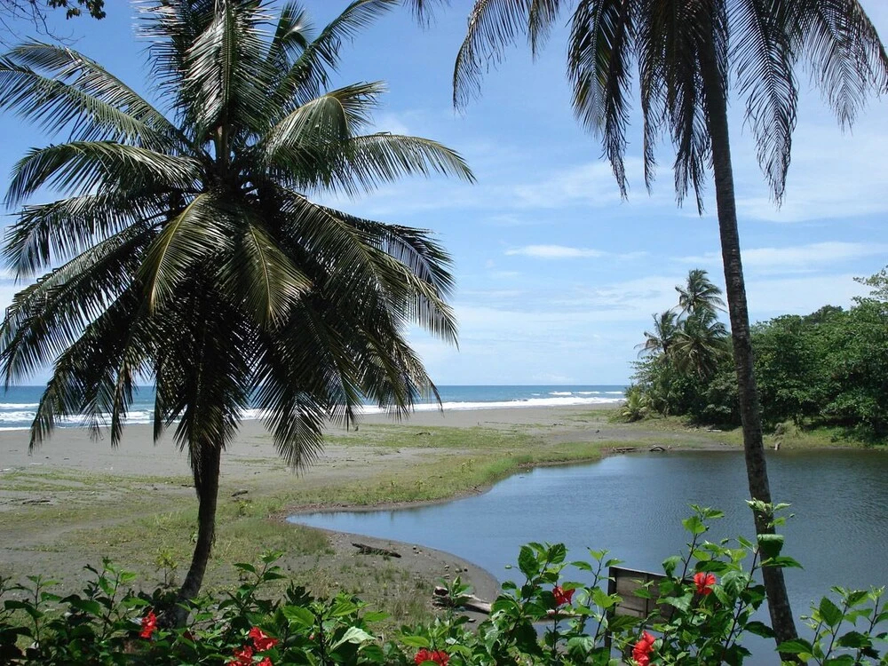 Casa Grande Ecolodge at Pacuare Reserve - фото 9