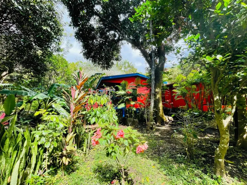 Standard Family room with garden view
