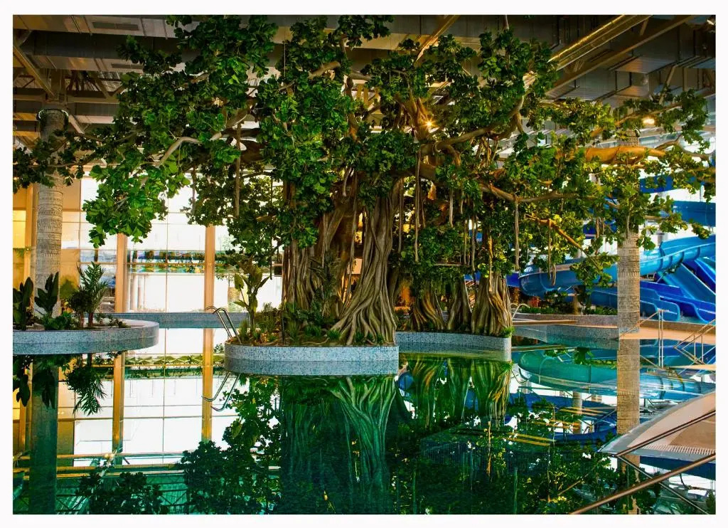 Hotel photo 25