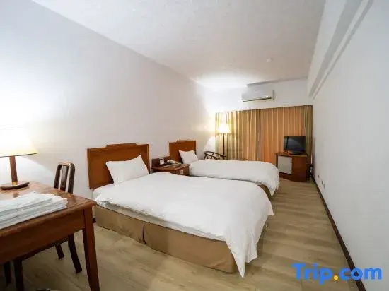 Deluxe Double room (twin beds)