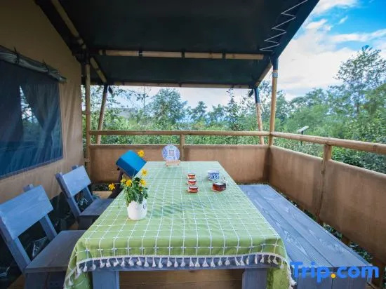 Balcony & Terrace