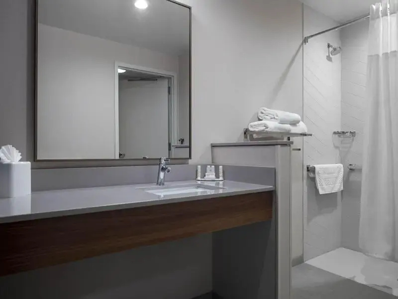 Fairfield Inn & Suites by Marriott Dallas DFW Airport North/ Irving - Chambres
