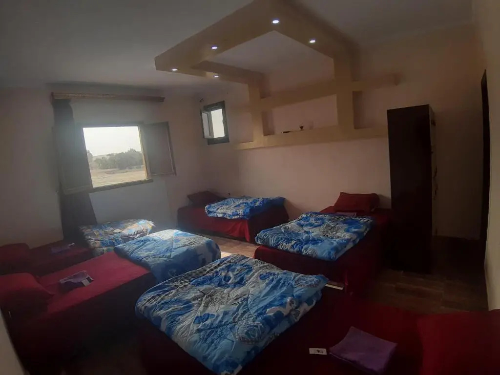 Bed in Dorm