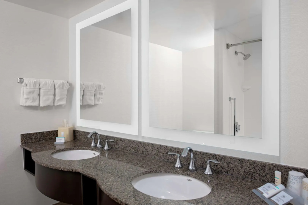 Hilton Garden Inn Atlanta Perimeter Center - Général