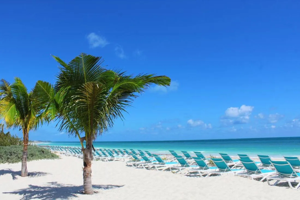 Catalonia Grand Costa Mujeres All Suites & Spa - All Inclusive - фото 32