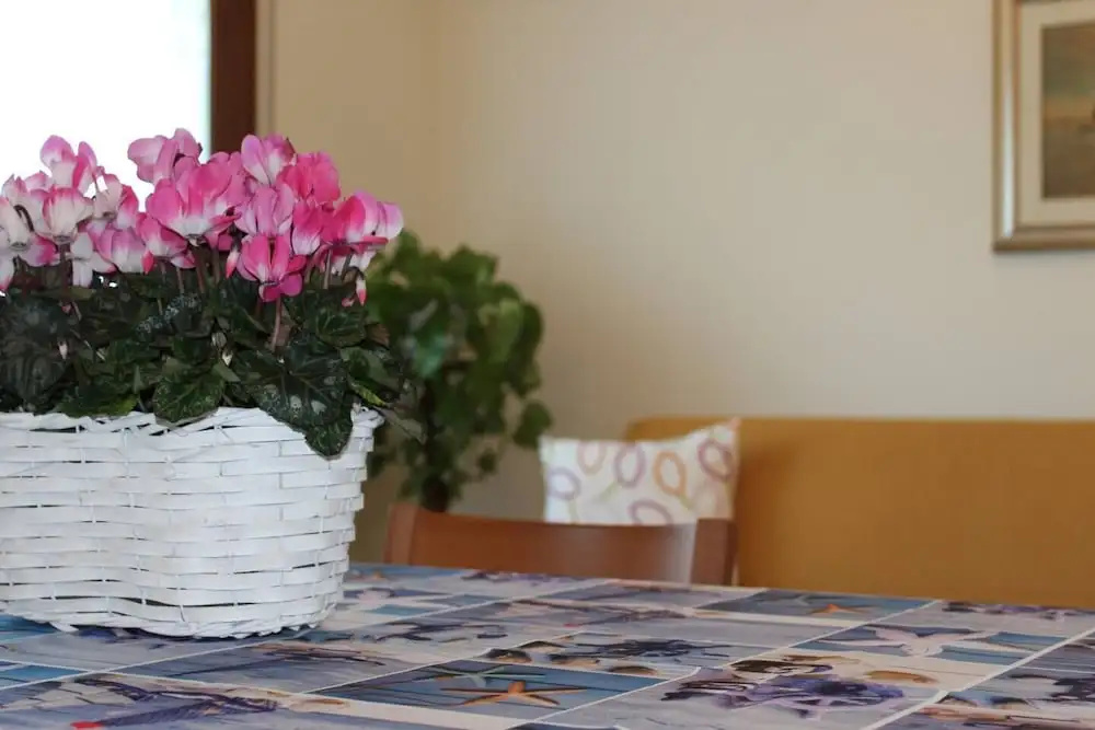 Comfort Apartment