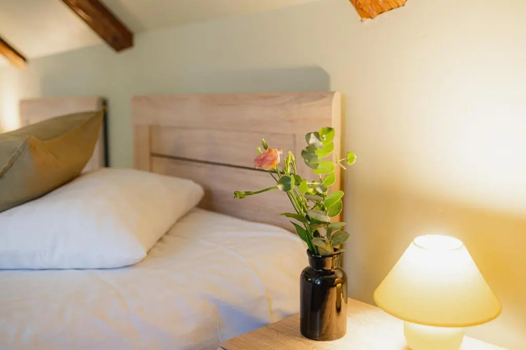 Superior Double room (twin beds)