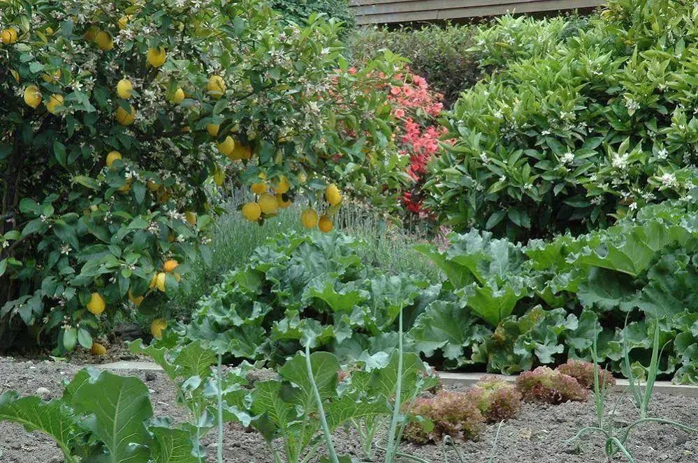 Stonehaven Vineyard Homestay — фото 5