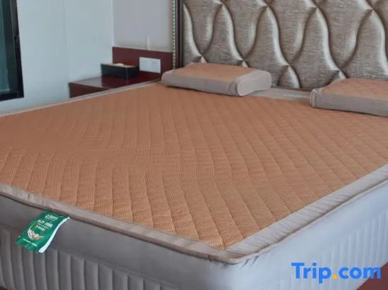 Starway Hotel Shijiazhuang Railway Station - Chambres