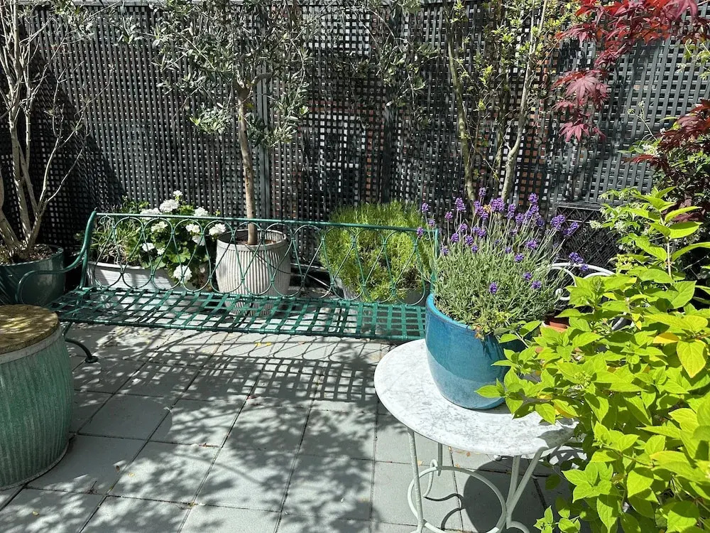 Roof Garden Rooms - Général