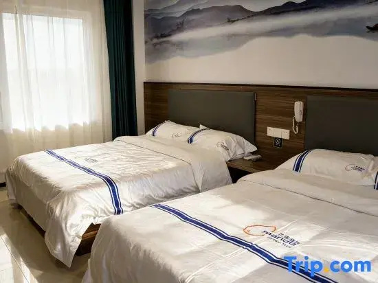 Deluxe Double room (twin beds)