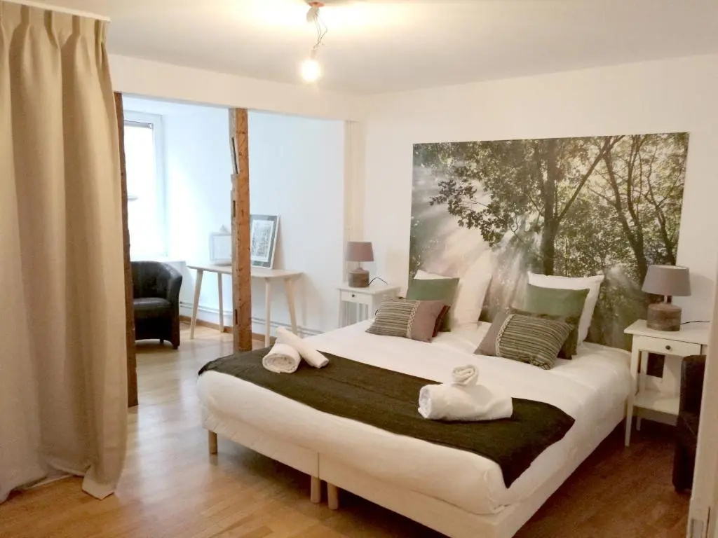 Colmarappart Rue Des Clefs - Chambres