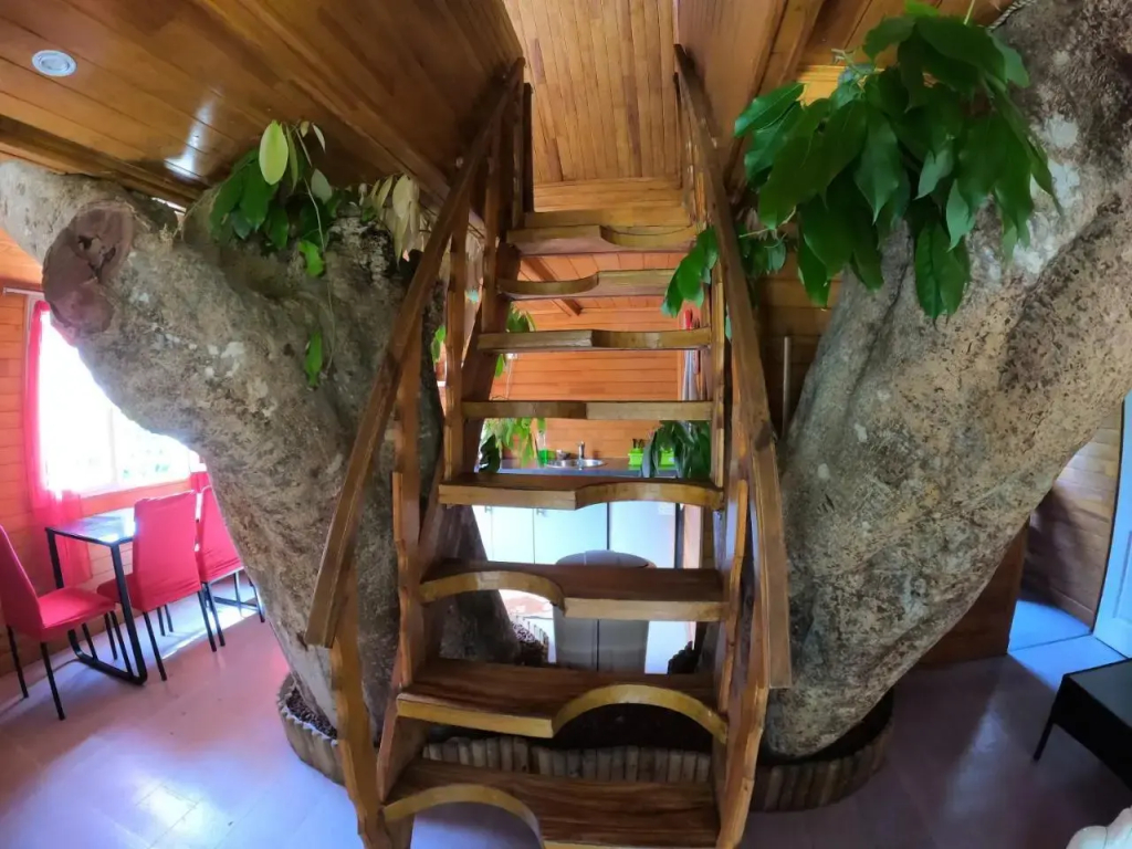 ti kaz perchée - фото 5