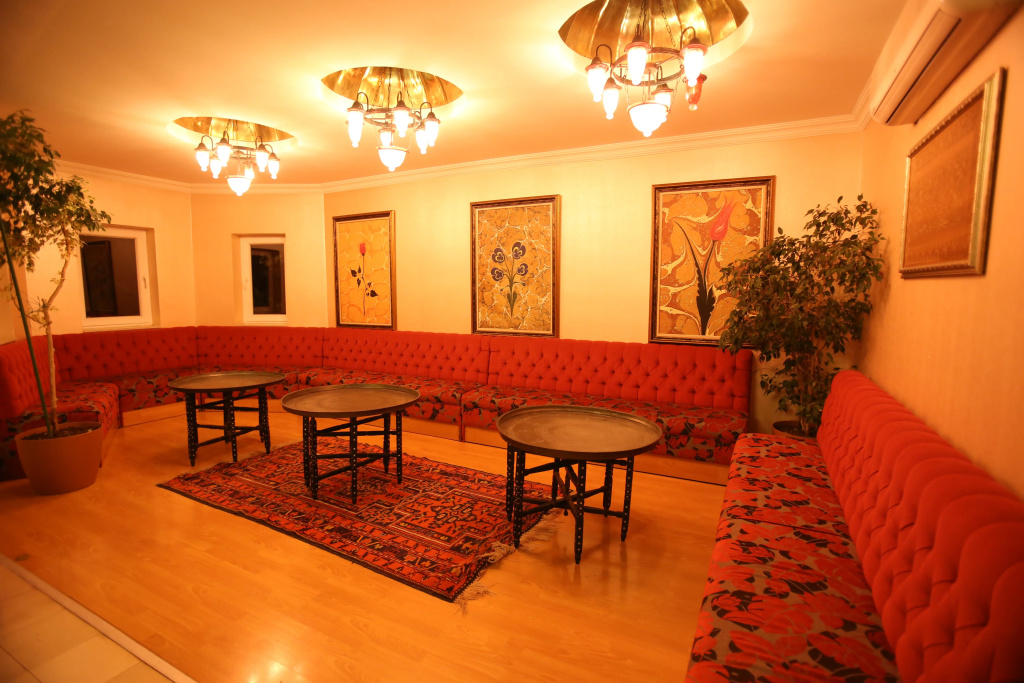 Viking Garden Hotel - Général