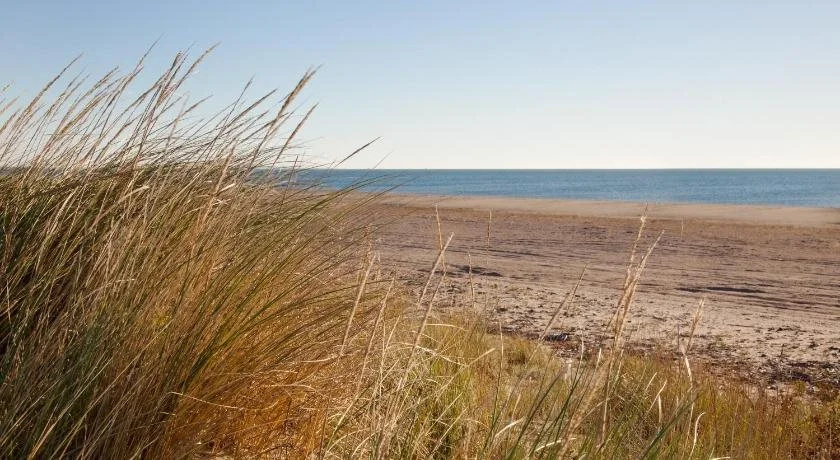 Beach & Waterfront