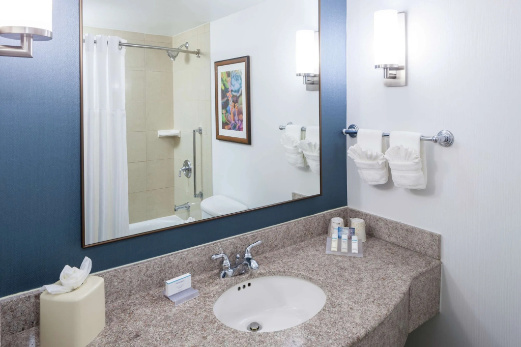 Hilton Garden Inn Dallas-Allen - Général