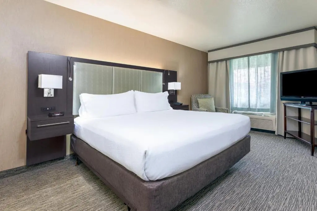 Holiday Inn Auburn by IHG - Chambres