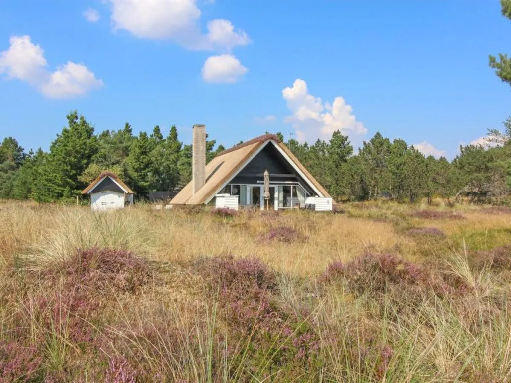 "Dana" - 1.6km from the sea in Western Jutland