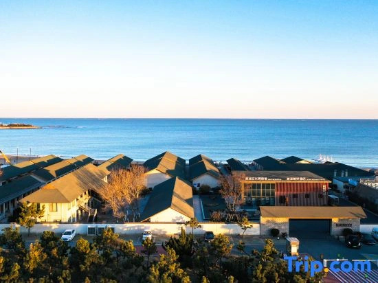 Ocean Aesthetics Museum Hotel