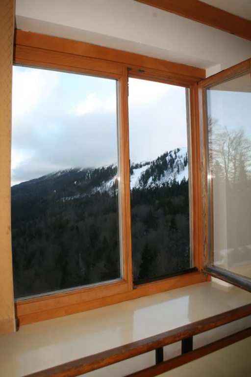 Bat Hotel Bistrica - Chambres