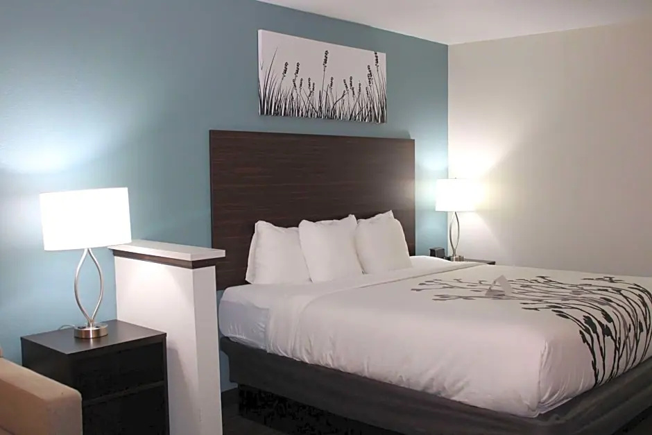 Wingate by Wyndham Kings Bay Naval Base / I-95 - Chambres