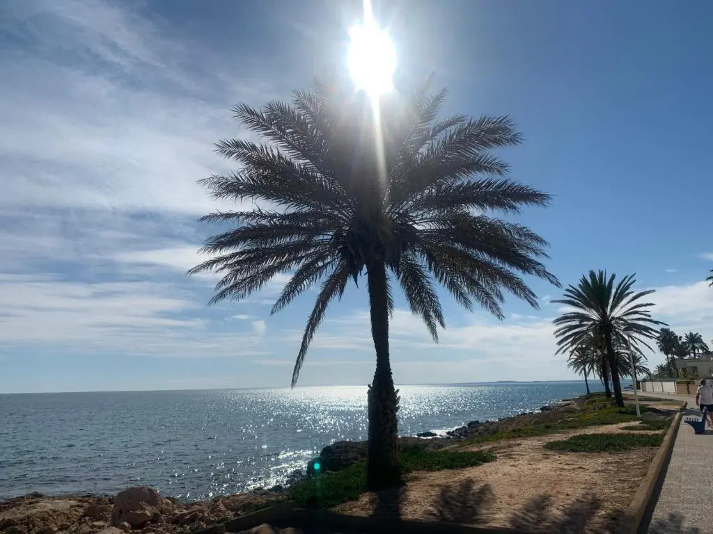 Beach & Waterfront