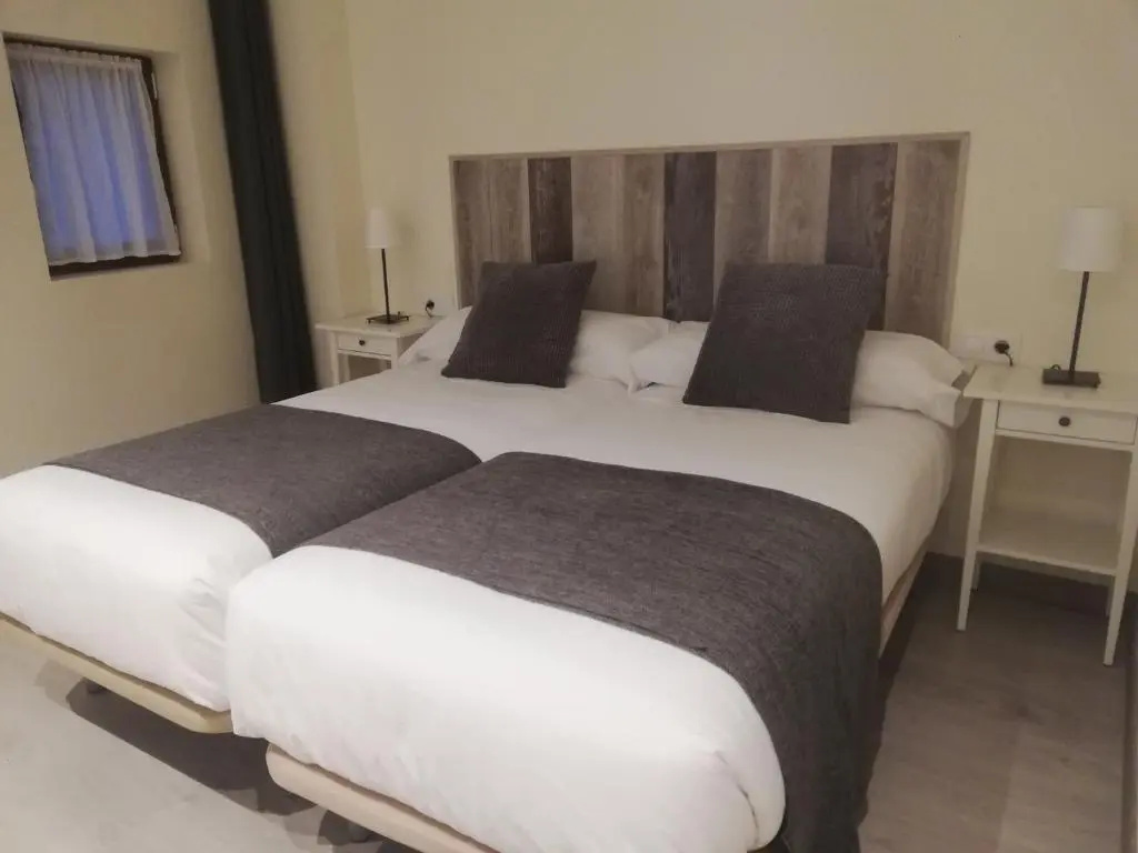 Standard Double room (twin beds)