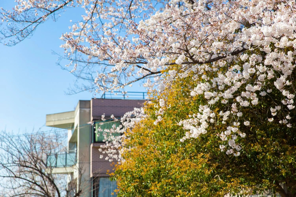 平楽園弐番館２階