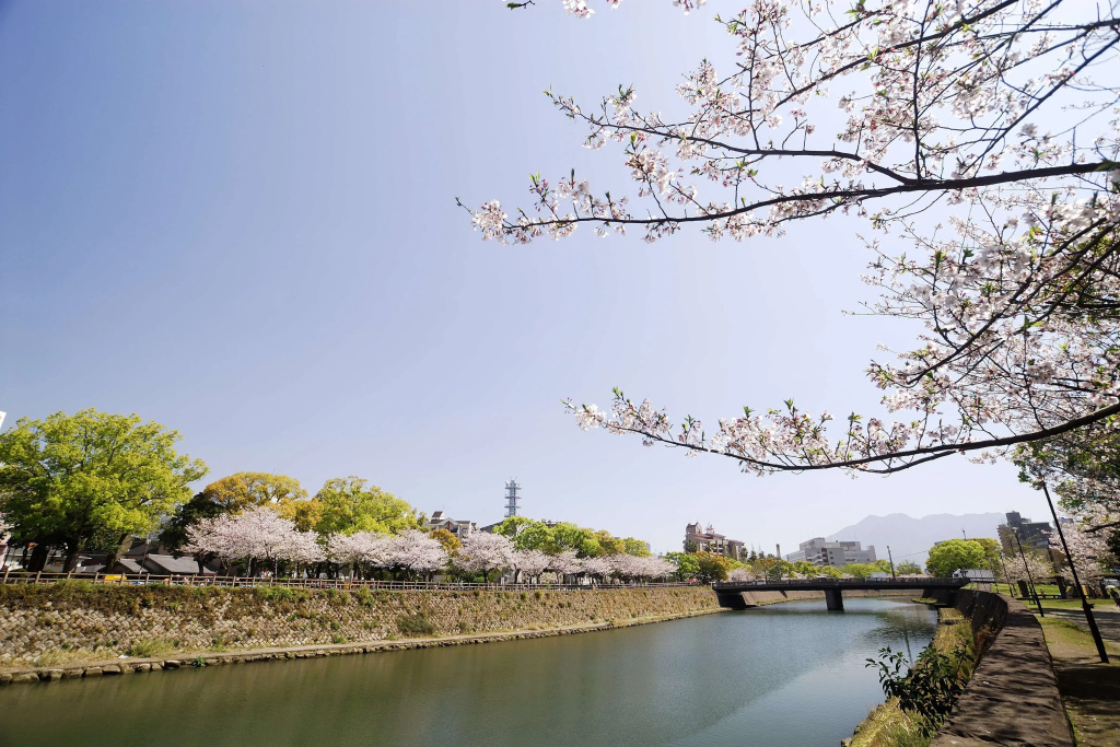 Business Hotel Oriental Izuro