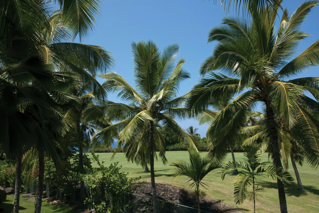 Holua Resort - Général