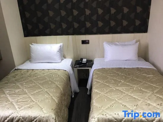 Standard Double room (twin beds)