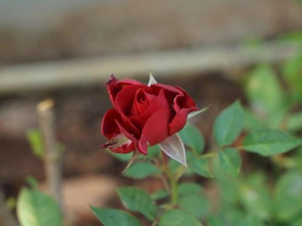 Pure Life Hostel - фото 2