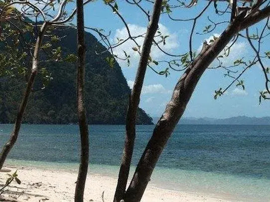 Beach & Waterfront