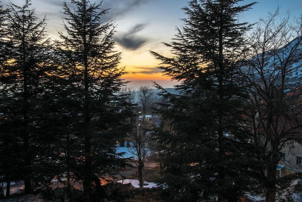 La Maison Des Cedres