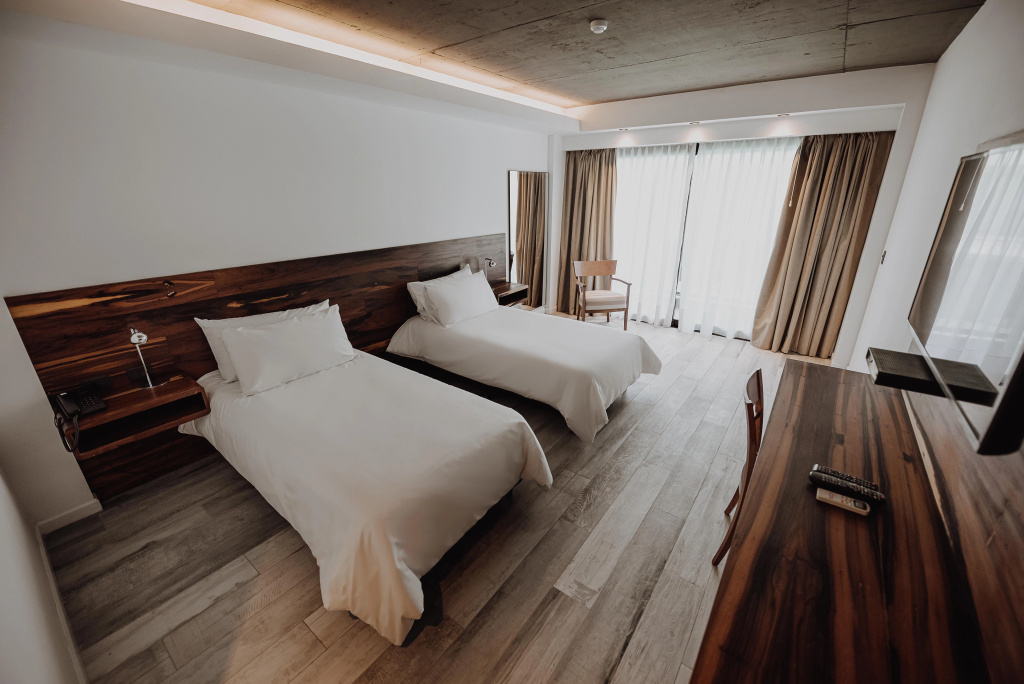 Deluxe Double room (twin beds)