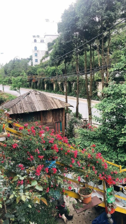 Семейный люкс в Saigonese Trekking House - Hostel