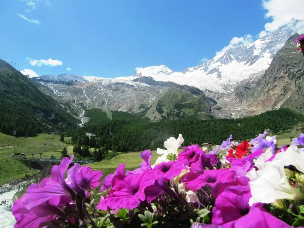 Standard Double room with mountain view (full double bed)