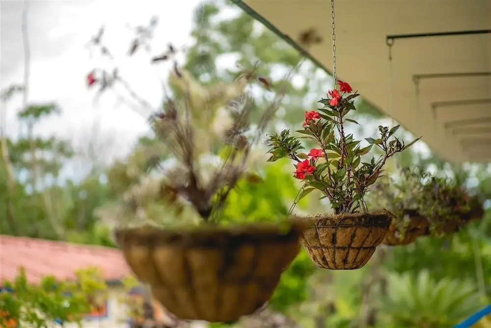 Hotel Campestre Tacurrumbi - Chambres