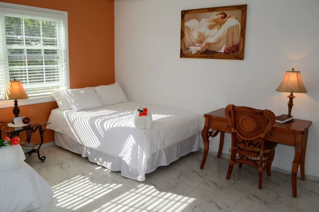 Adonai Hotel Boutique - Général