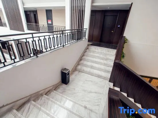 Balcony & Terrace