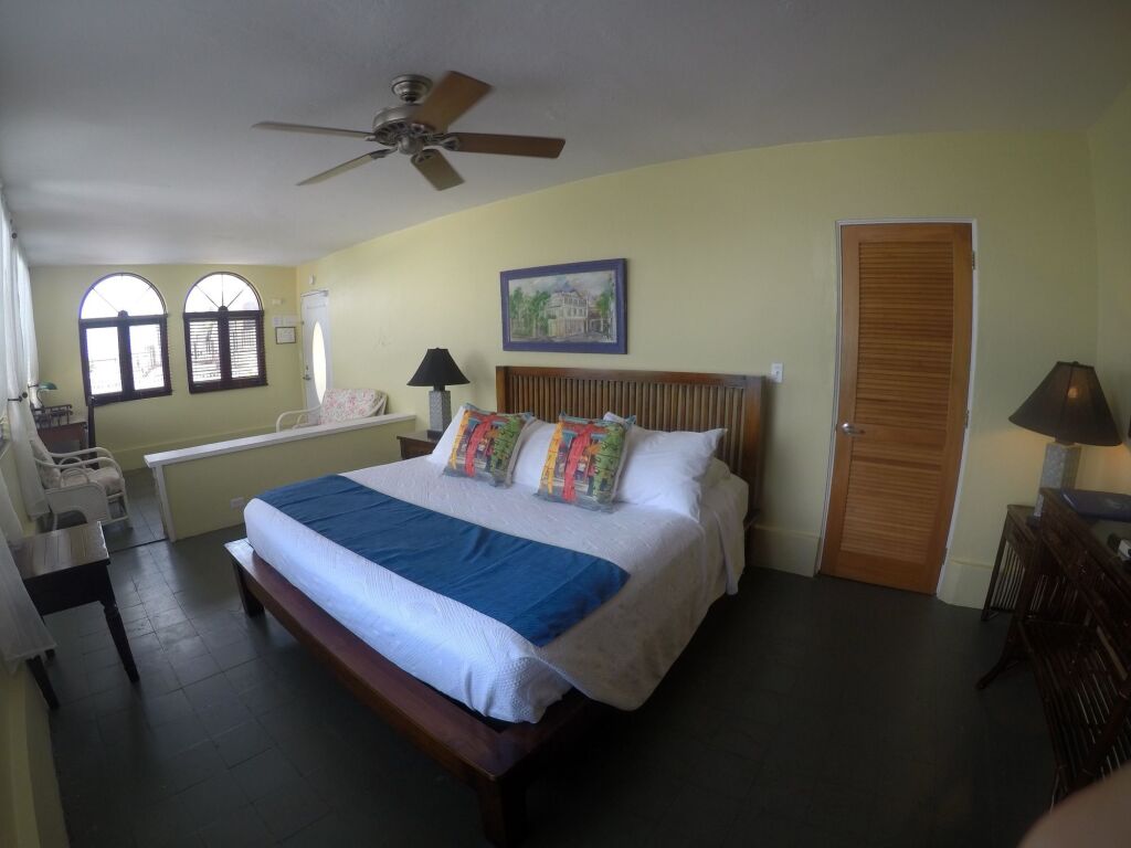 The Comanche by null