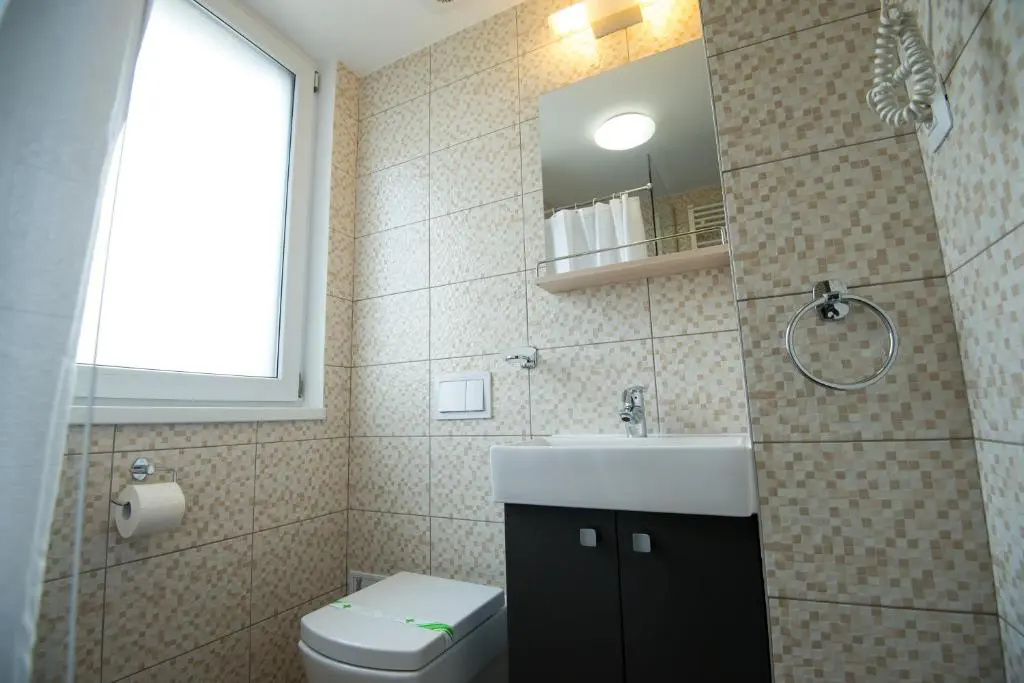 Pensiunea Panorama Business Inn - Chambres