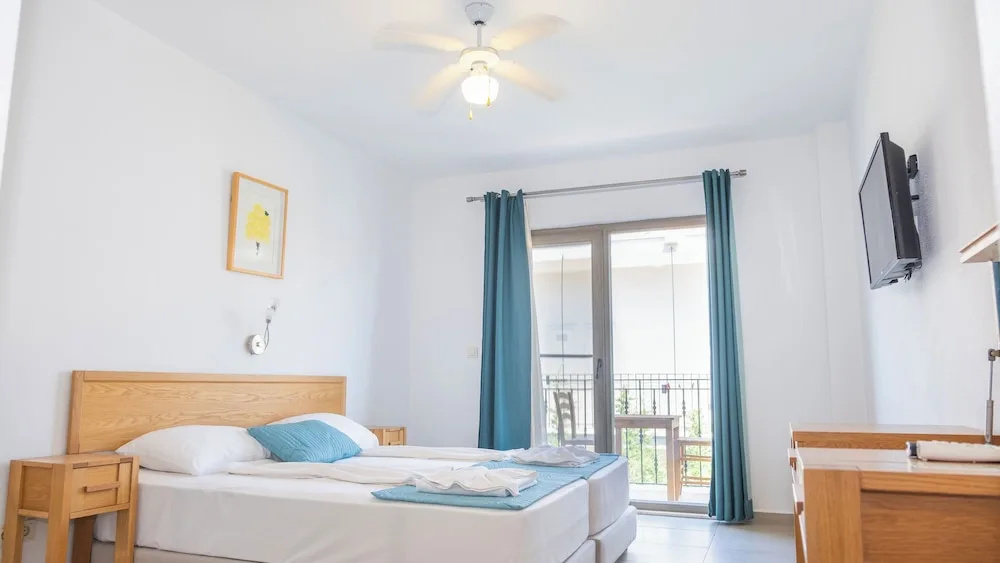 Deluxe Double room (twin beds)