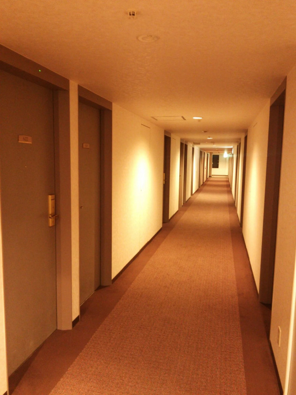 Nara Washington Hotel Plaza - Général