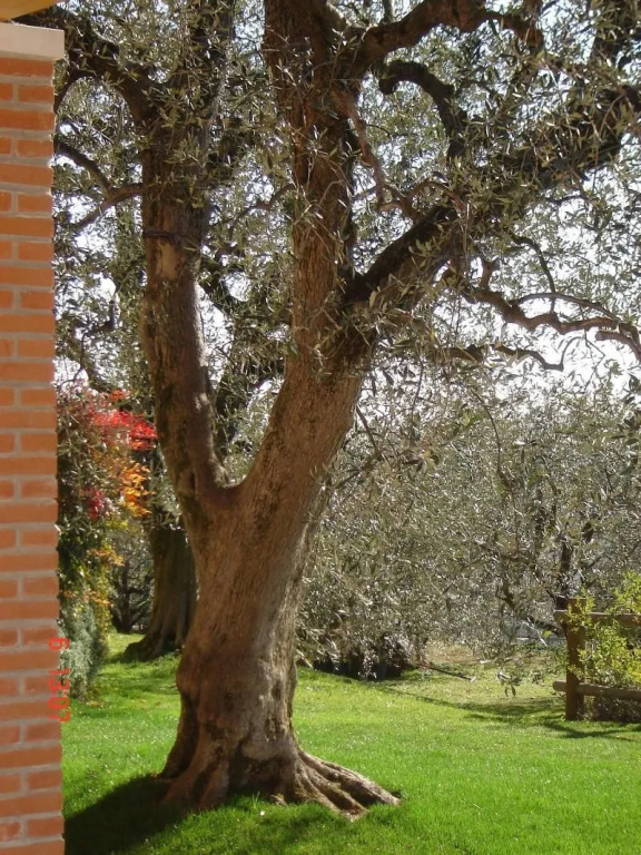 Agriturismo Le Tese