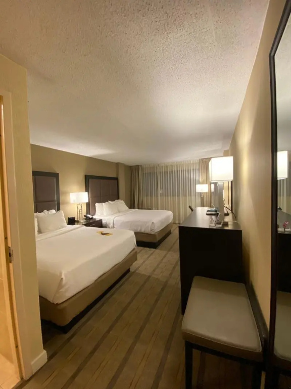 Crowne Plaza Knoxville Downtown University by IHG - Chambres
