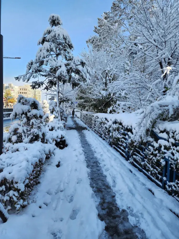 Disco PangPang GuestHouse (Foreigners only)