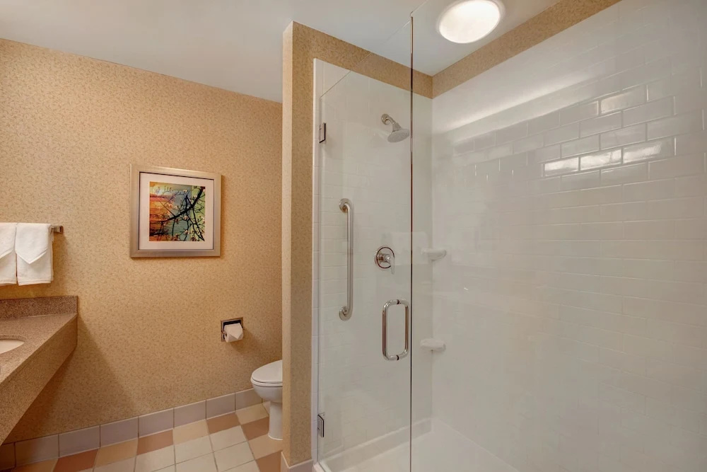 Fairfield Inn & Suites by Marriott Detroit Metro Airport Romulus - Chambres